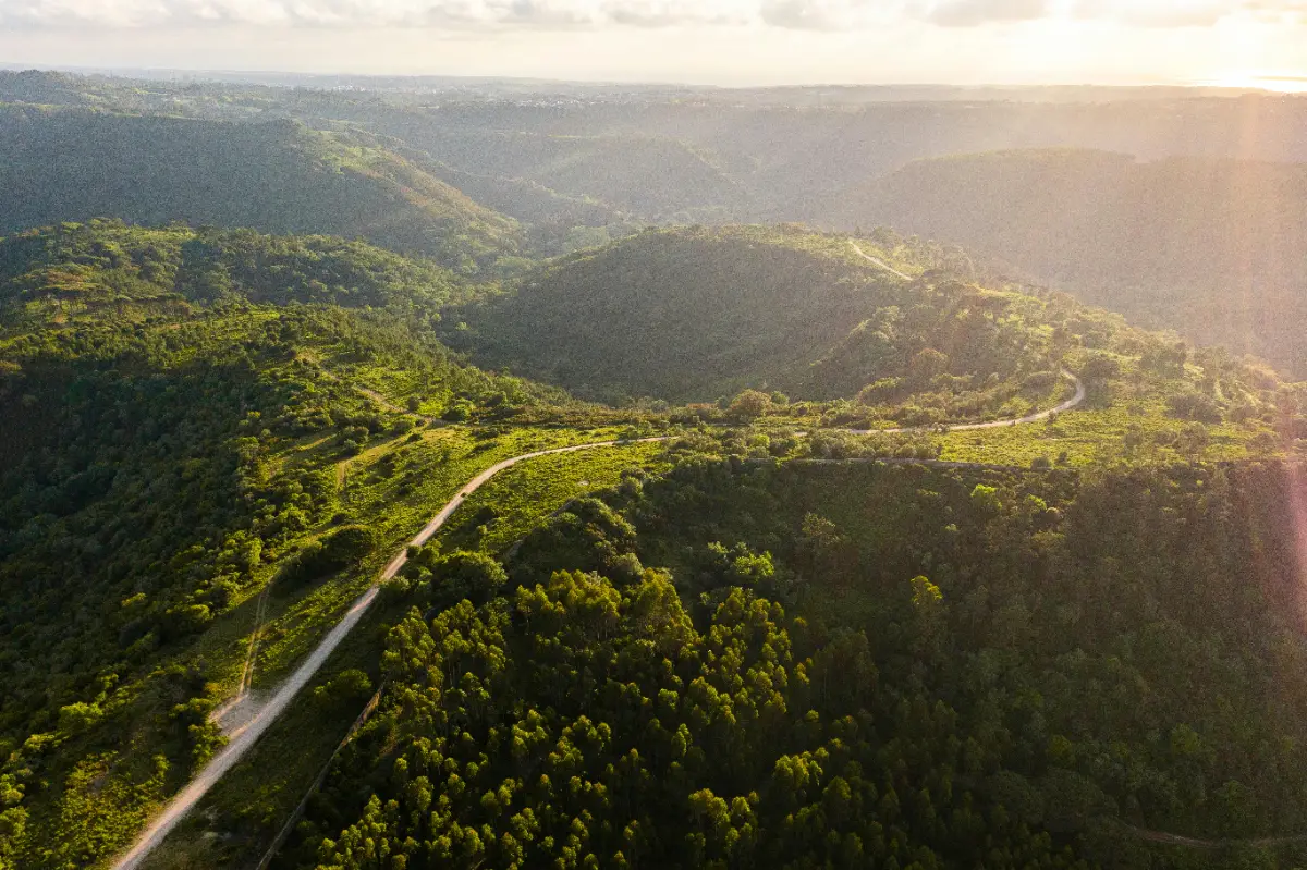 Monchique Retreats